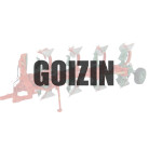 GOIZIN